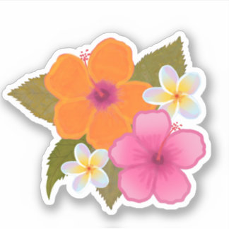 HIBISCUS PLUMERIA HAWAIIN-FLÖDEN AV TROPISK ORANGE KLISTERMÄRKEN