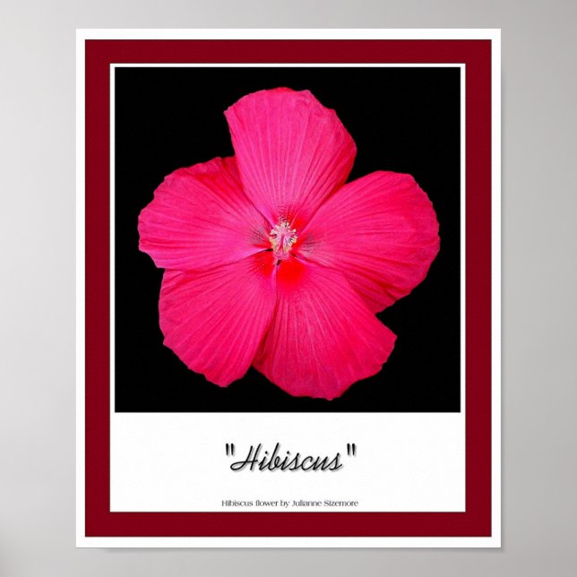 Hibiscus Poster (Framsidan)