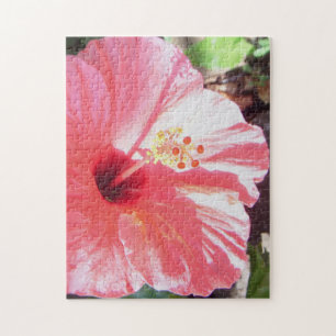 *Hibiscus*pussel Pussel