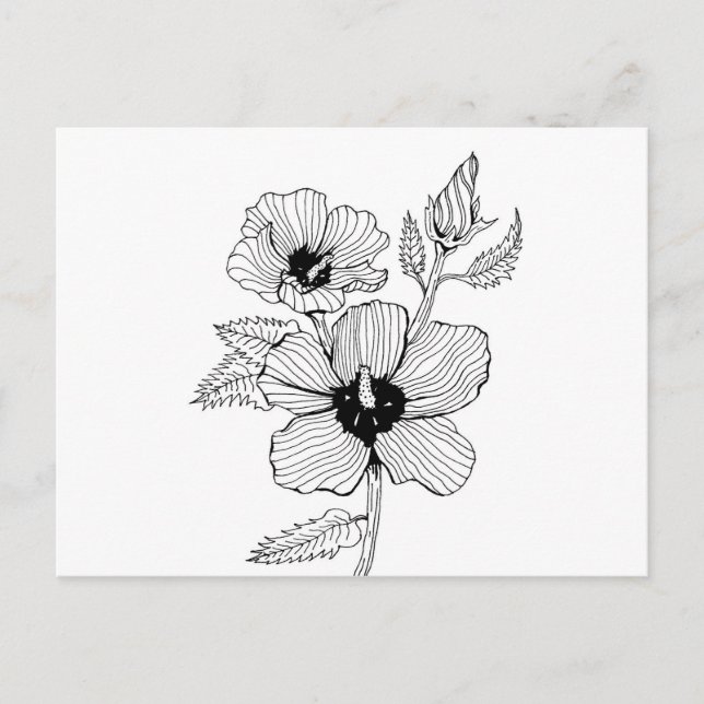 Hibiscus Ro i Sharon Flower Vykort (Framsida)