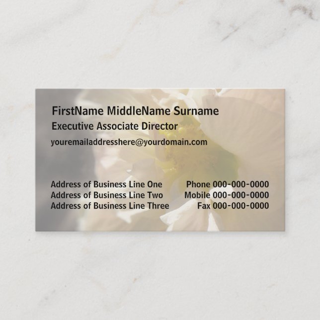 Hibiscus Rosa på Sepia Visitkort (Framsida)