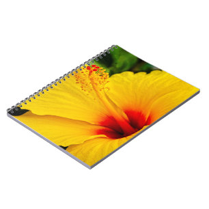 Hibiscus smart gult anteckningsbok
