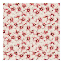 Hibiscus, sömlös mönster