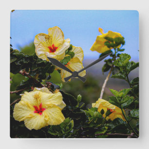 HIbiscus square Maui väggklocka