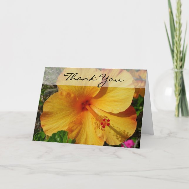 Hibiscus - Tack Kort (Framsida)