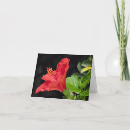 Hibiscus-Tillfällen Notecard Tack Kort