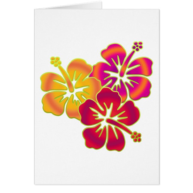 hibiscus trio hälsningskort (Framsidan)
