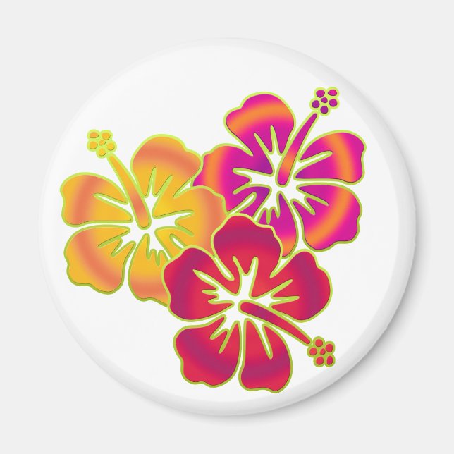hibiscus trio magnet (Framsidan)