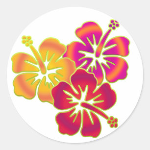 hibiscus trio runt klistermärke