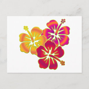 hibiscus trio vykort