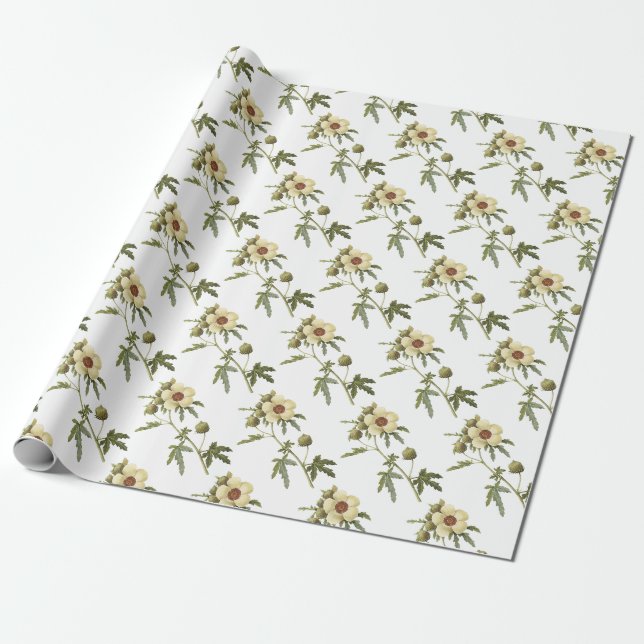 Hibiscus trionum Blommönster Presentpapper (Utrullad)