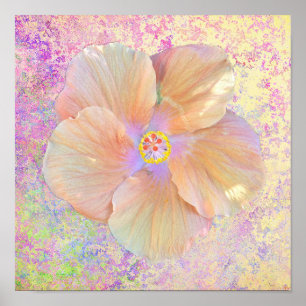 Hibiscus tropisk blomma: Se rosa guld Poster
