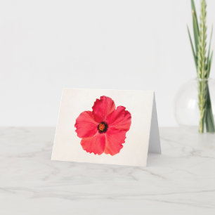 Hibiscus - Tropiskt Shock rosa i Personlig Kort