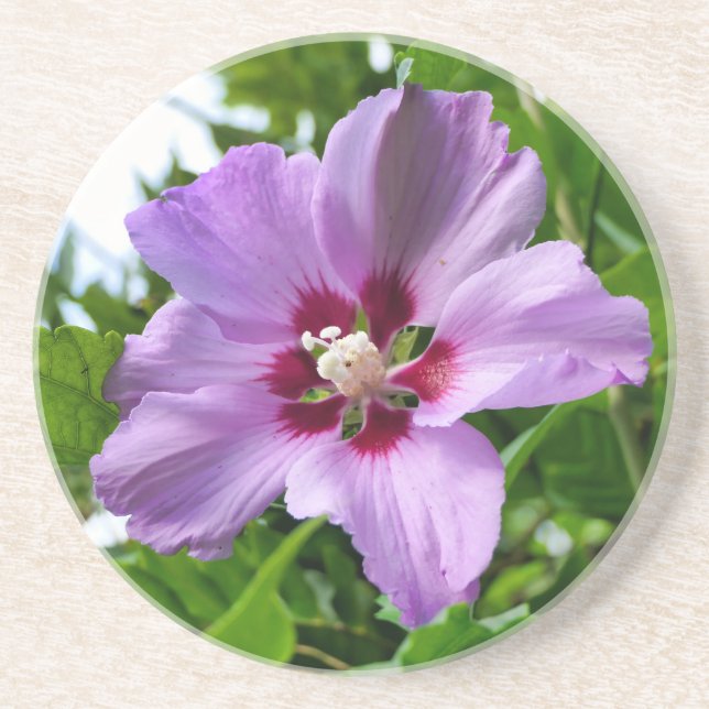 Hibiscus Underlägg (Framsidan)