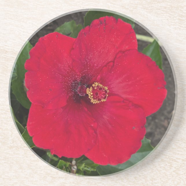 Hibiscus Underlägg (Framsidan)