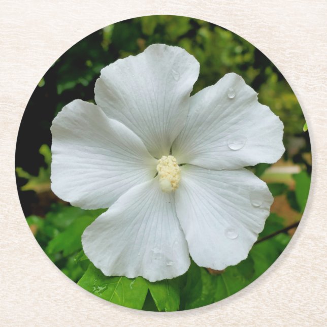 Hibiscus Underlägg Papper Rund (Framsidan)