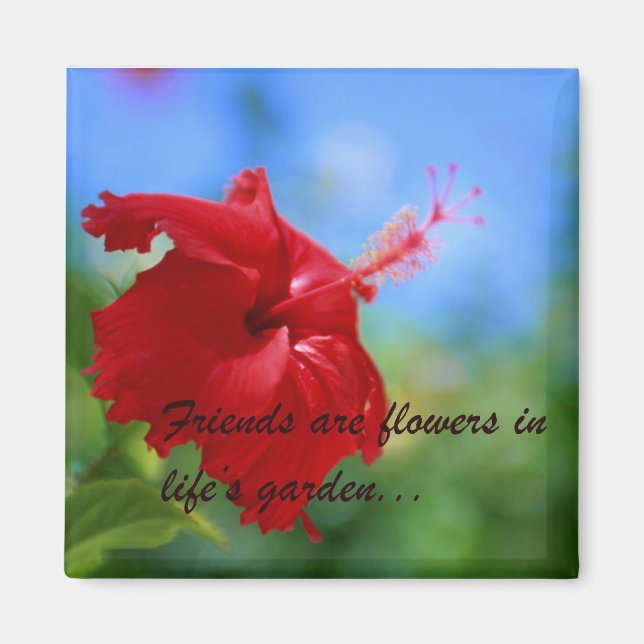 Hibiscus Vänskap Quote Magnet (Framsidan)