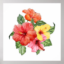 Hibiscus vattenfärg