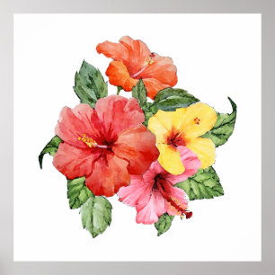 Hibiscus vattenfärg poster