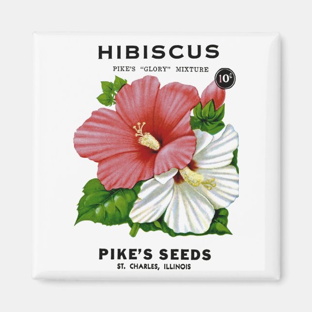 Hibiscus Vintage Seed Packet Magnet (Framsidan)