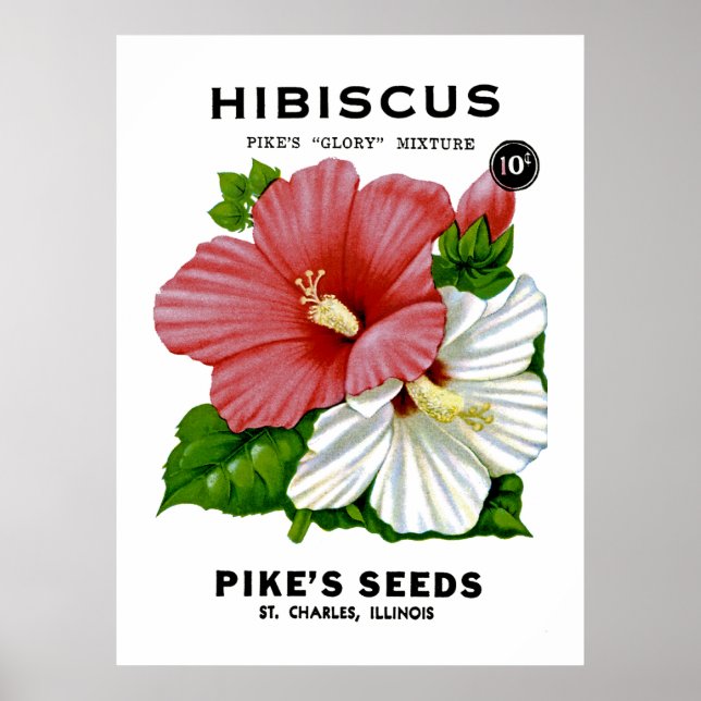 Hibiscus Vintage Seed Packet Poster (Framsidan)