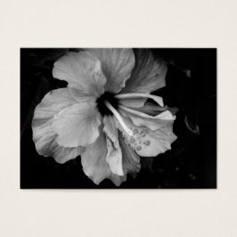 hibiscus visitkort