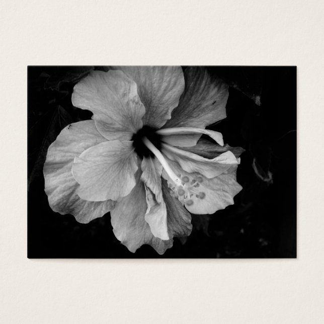 hibiscus visitkort (Framsidan)