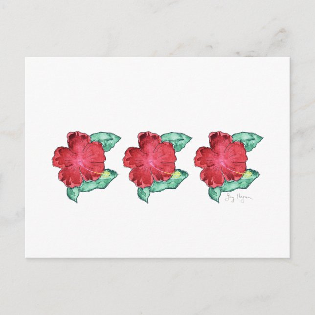 Hibiscus vykort (Framsida)