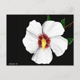 Hibiscus vykort