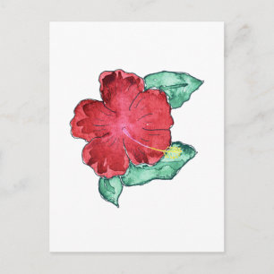 Hibiscus vykort