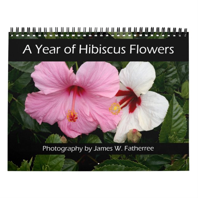 Hibiscusblommor Väggkalender av J. Fatherree Kalender (Omslag)