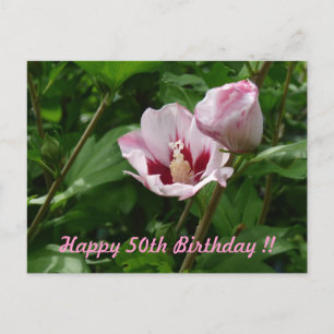 Hibiskus Hibiscus 50. Geburtstag Jubiläum Vykort