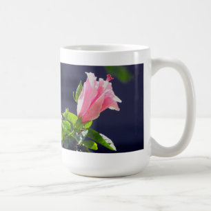 Hibiskus i starkt solljus kaffemugg