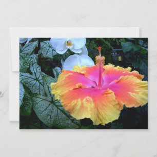 hibiskus inbjudningar