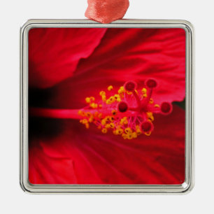 Hibiskus Julgransprydnad Metall