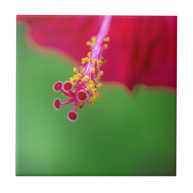 hibiskus kakelplatta (Framsidan)