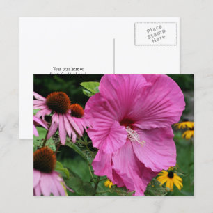 Hibiskus Och Vänner Blomsterträdgård Fotografi Vykort