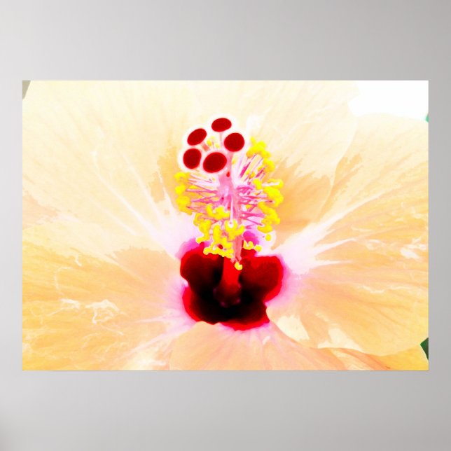 hibiskus poster (Framsidan)