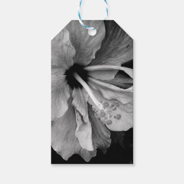 Hibiskus Presentetikett (Framsidan)