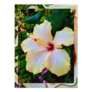 Hibiskus skönhet fototryck