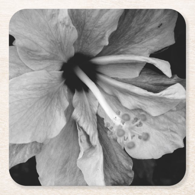 Hibiskus  underlägg papper kvadrat (Framsidan)