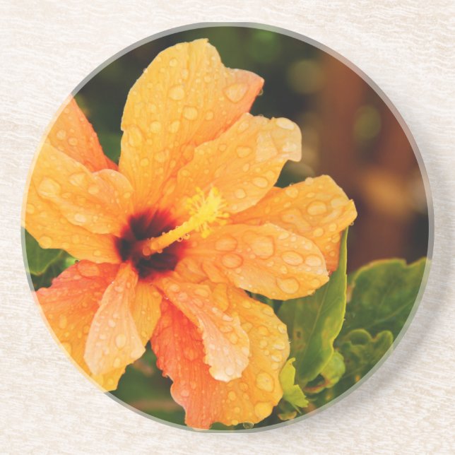 Hibiskus Underlägg Sandsten (Framsidan)