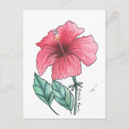 hibiskus vykort