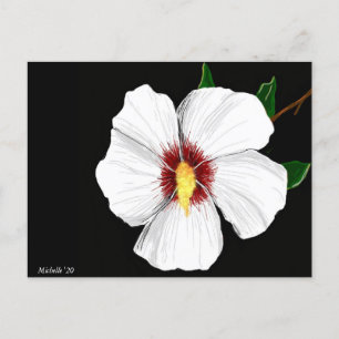 Hibiskus vykort