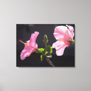 Hibiskusblomma i profil canvastryck