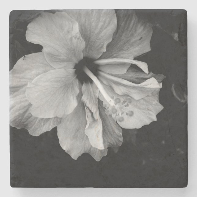 Hibiskusblomma Stenunderlägg (Framsidan)