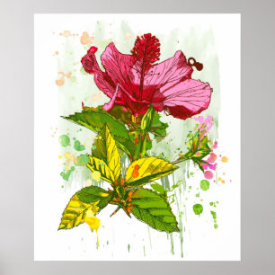 Hibiskusblomma - vattenfärgen målar 2 poster