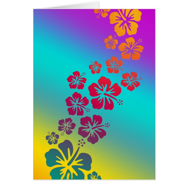 hibiskusblomningar | färgad bakgrund hälsningskort (Framsidan)