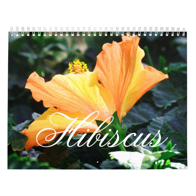 Hibiskuskalender Kalender (Omslag)