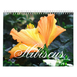 Hibiskuskalender Kalender